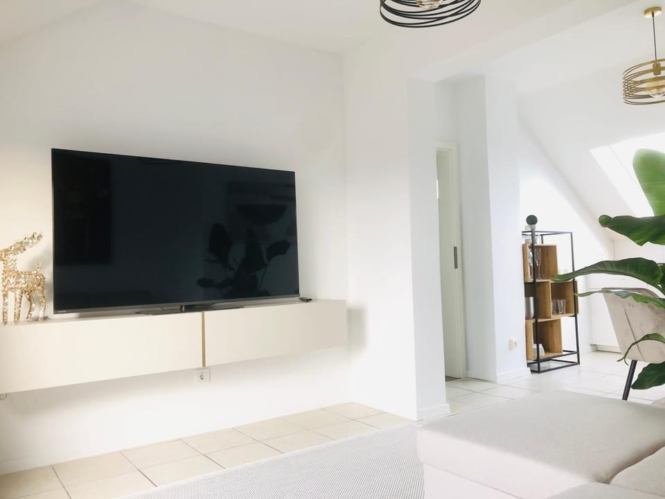 TV and multimedia