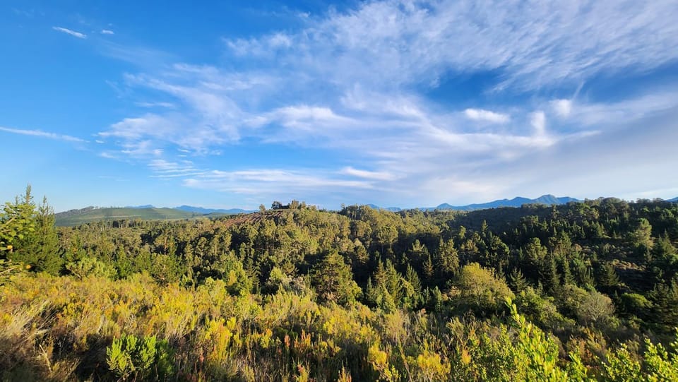 Mountain view