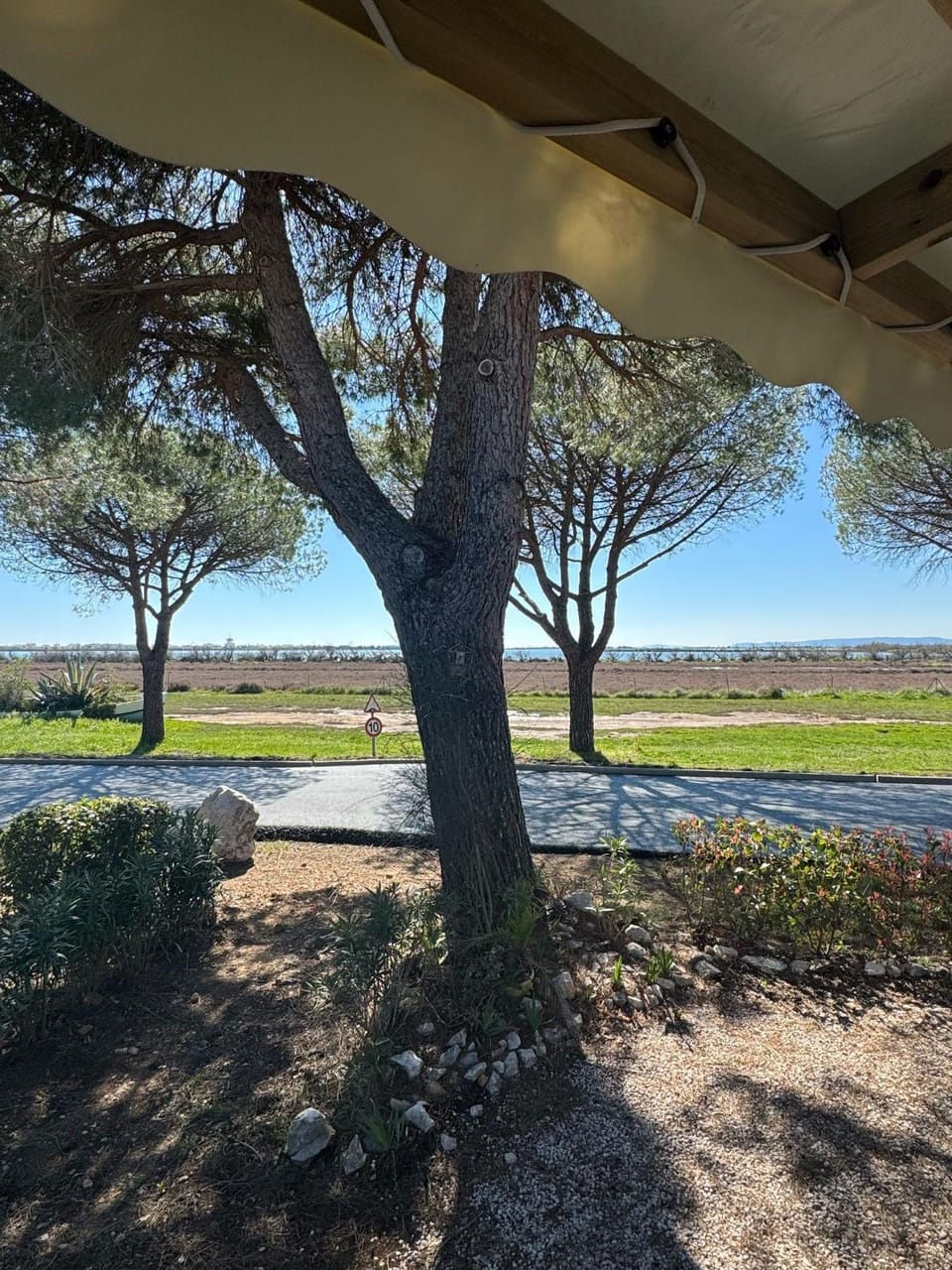 View (from property/room)