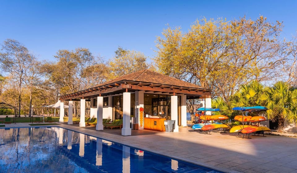 Pool view, Swimming pool, sunbed