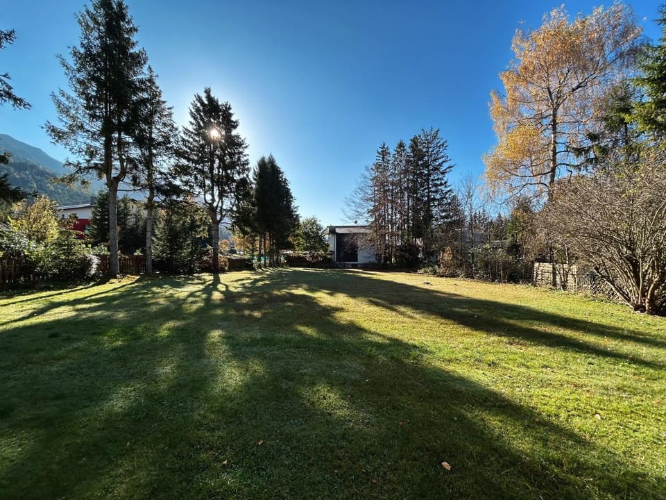 Day, Natural landscape, Garden, View (from property/room), Garden view