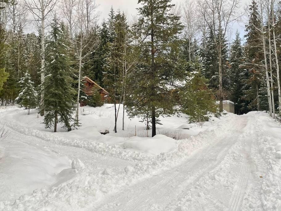 Authentic lofted log cabin with hot tub Cabin in British Columbia