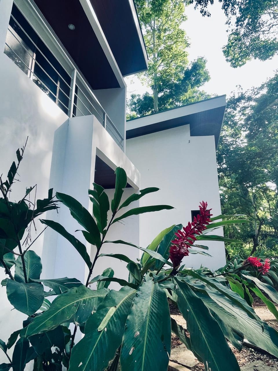 Property building, Garden
