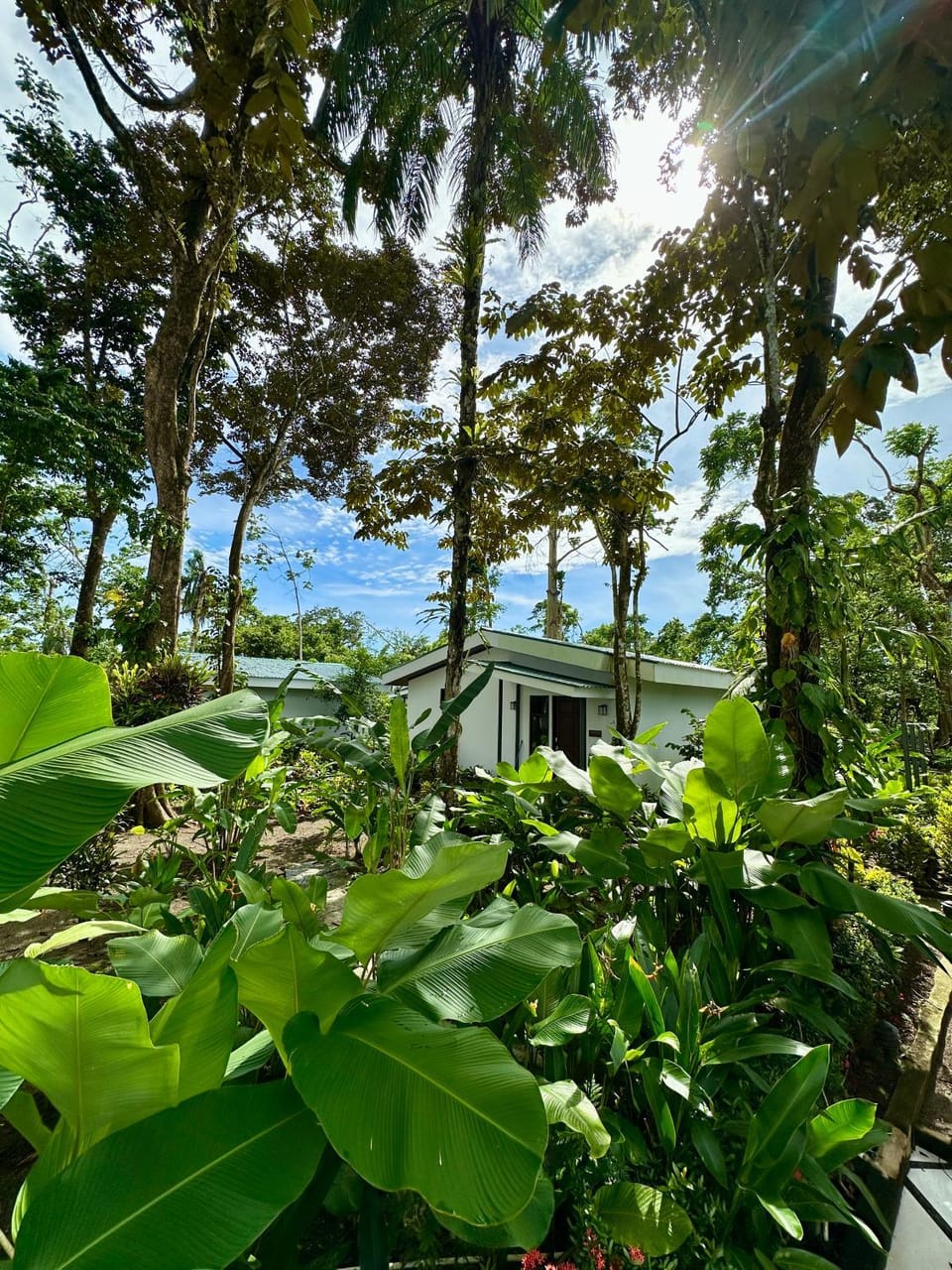 Nereus Hotel in Puntarenas Province