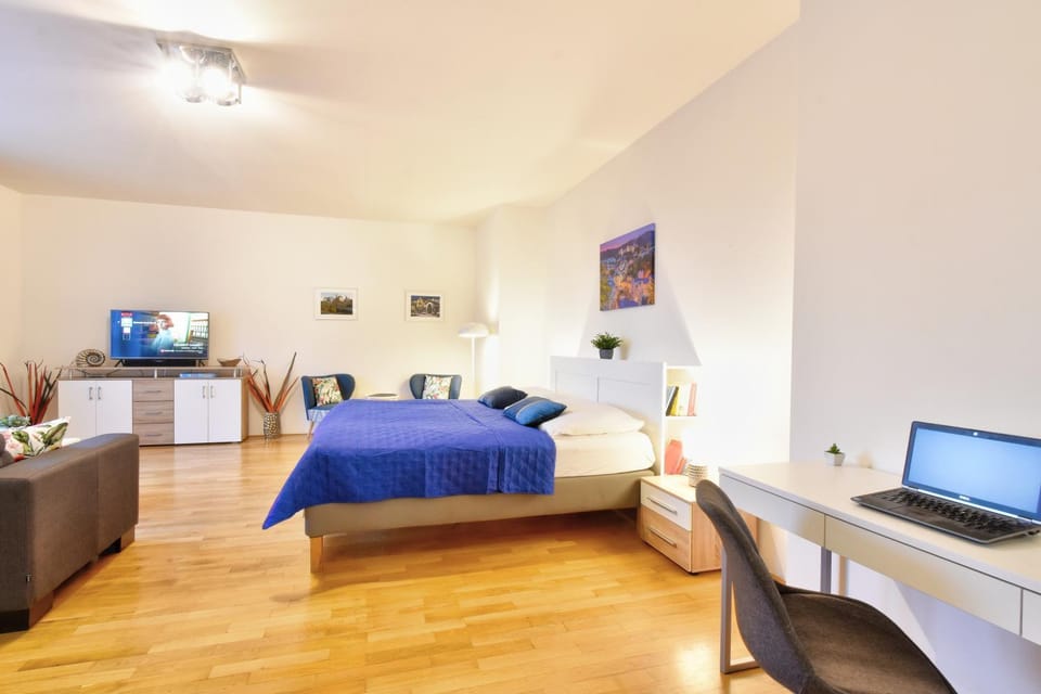 Bed, TV and multimedia, Living room, Photo of the whole room, Seating area, Bedroom