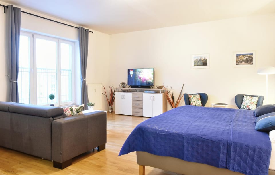 Bed, TV and multimedia, Living room, Photo of the whole room, Seating area, Bedroom