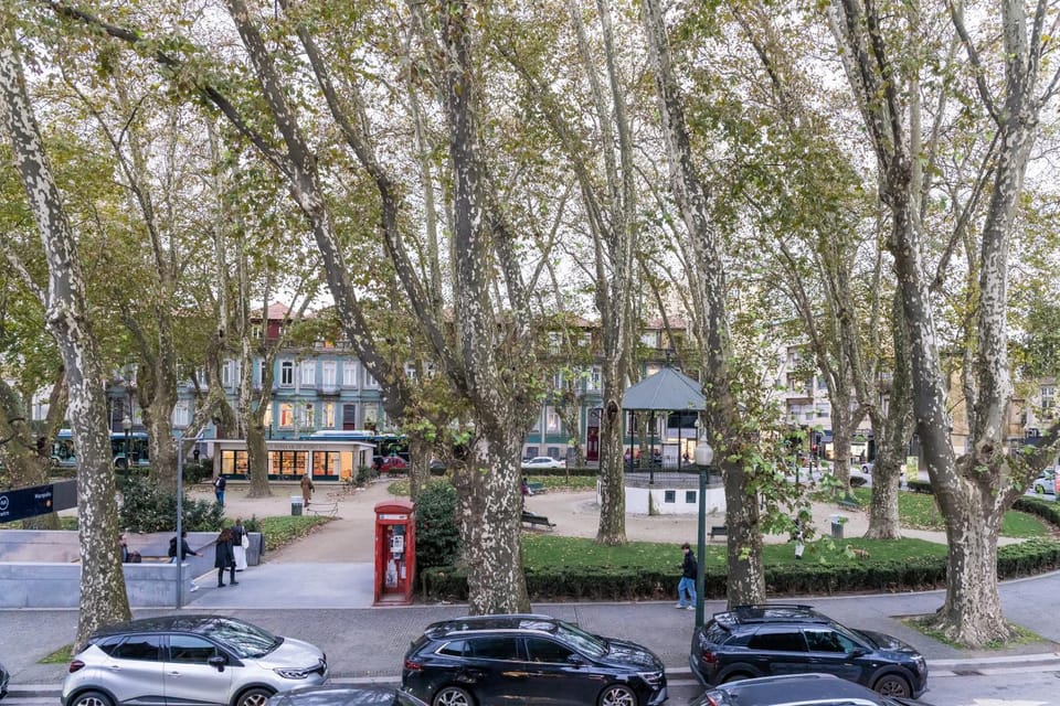 City view, Street view, Location