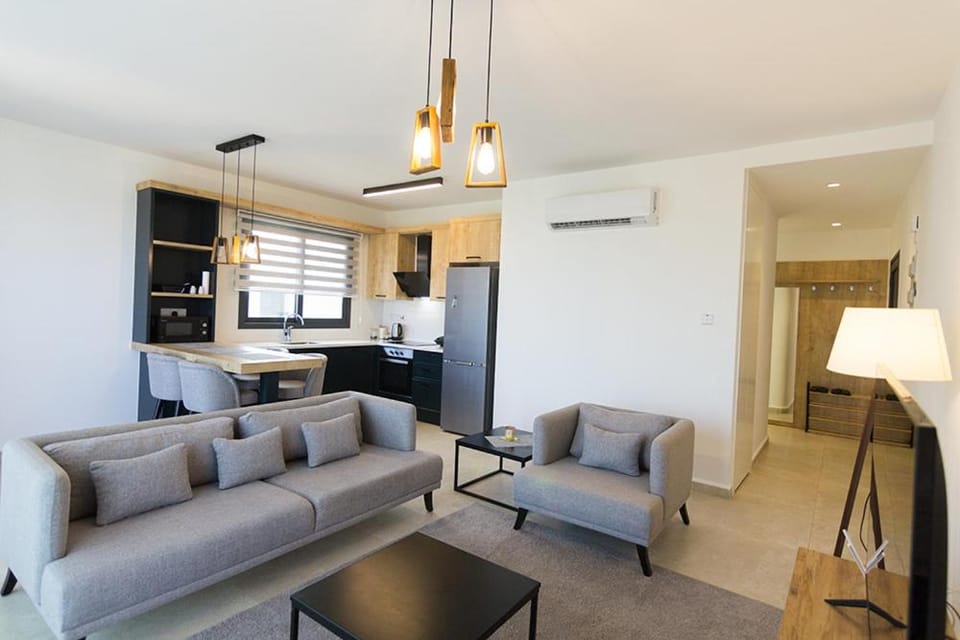 TV and multimedia, Kitchen or kitchenette, Living room, Seating area, Dining area, minibar, air conditioner