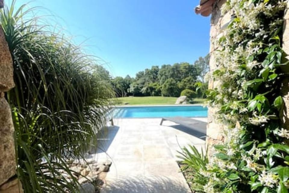 Other, Swimming pool