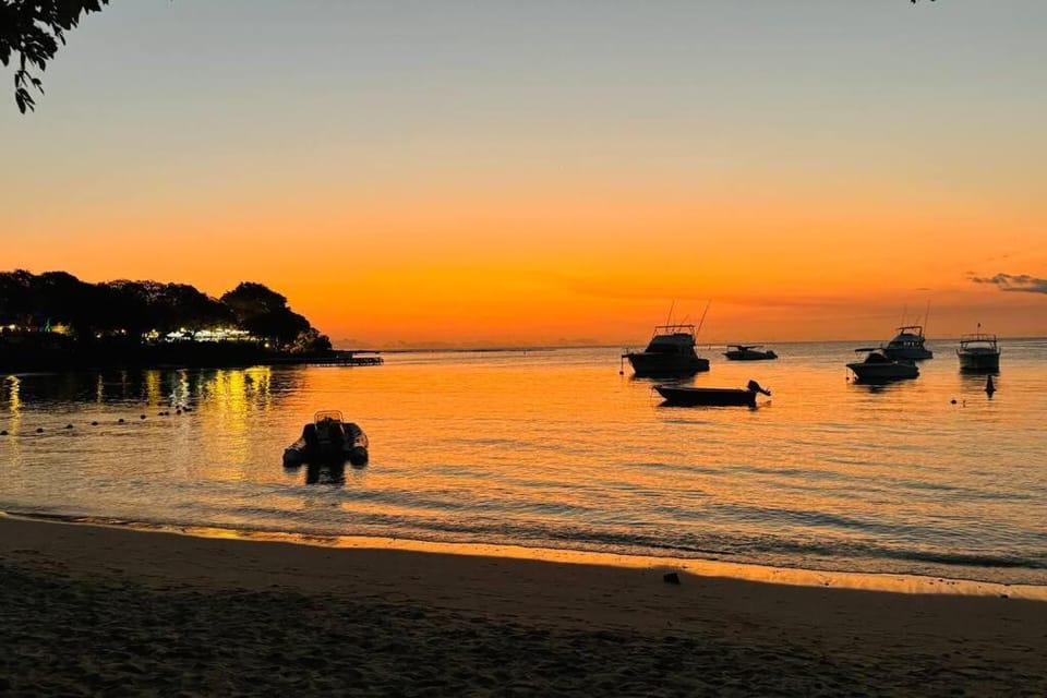 Natural landscape, Beach, Sunset