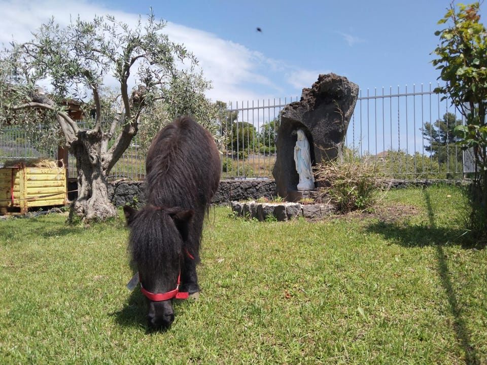Aurora dell'Etna Bed and Breakfast in Sicily