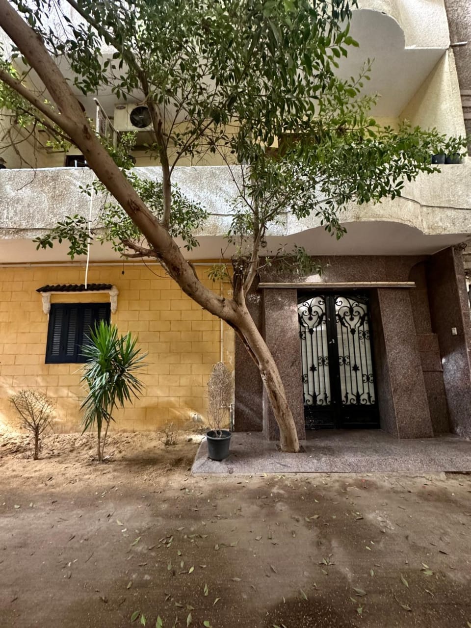 Property building, Day