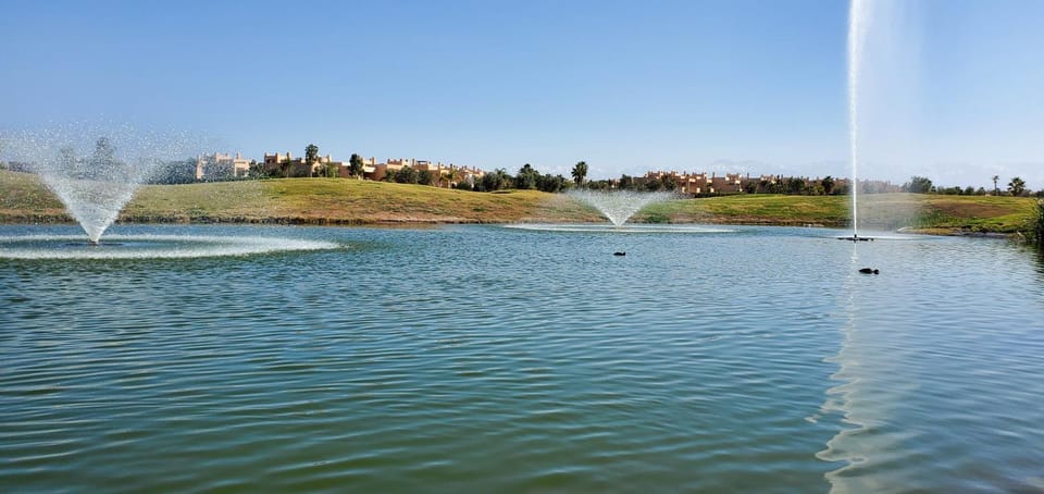 Lake view