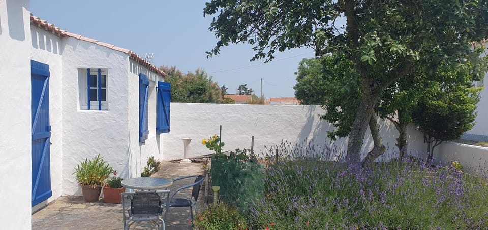 Garden, Garden view