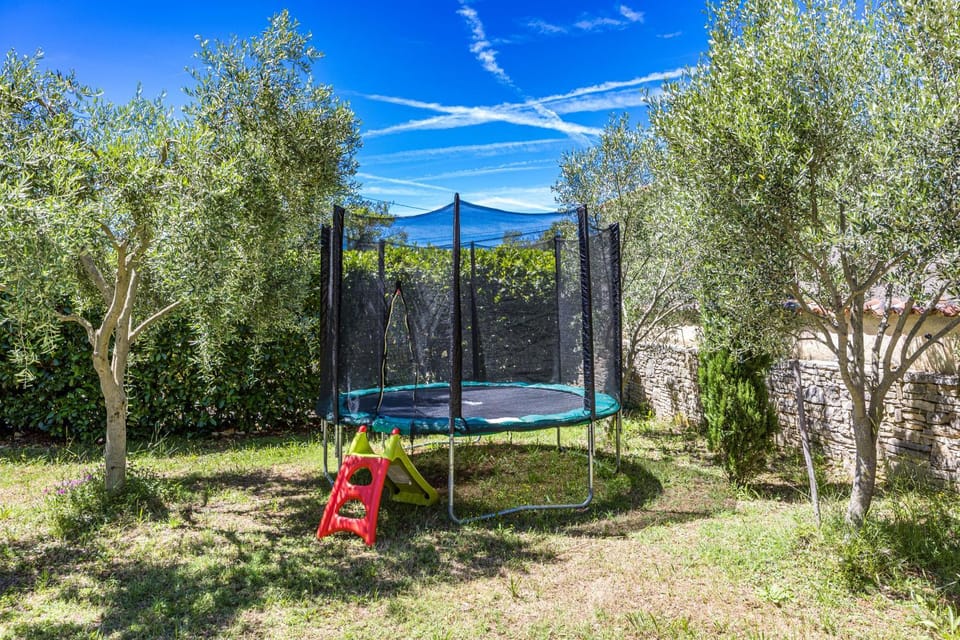 Patio, Garden, Garden view