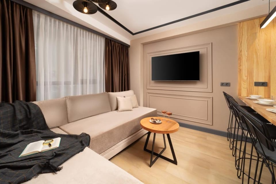 TV and multimedia