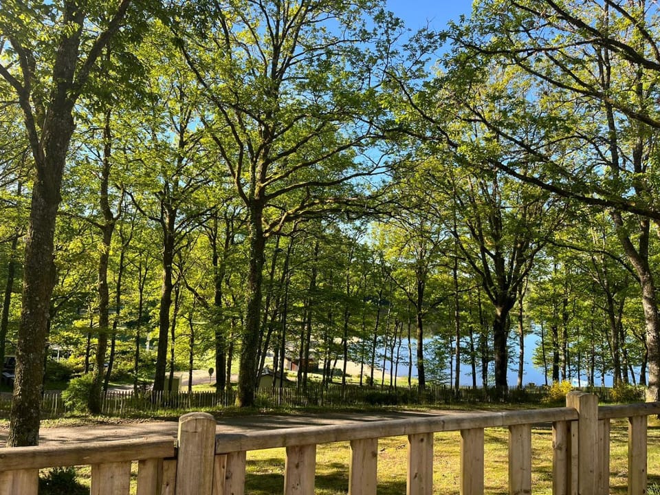 Camping Montard Luxury tent in Nouvelle-Aquitaine