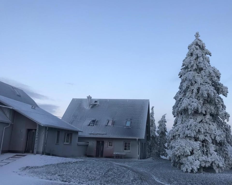 Property building, Day, Winter