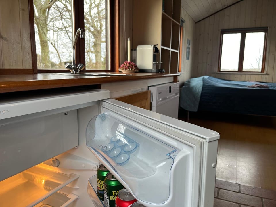 Kitchen or kitchenette, dishwasher, minibar