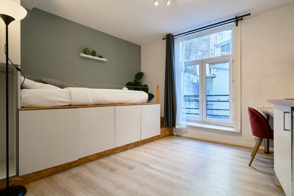 Fully-equipped studio next to Lille Flandres Apartment in Lille