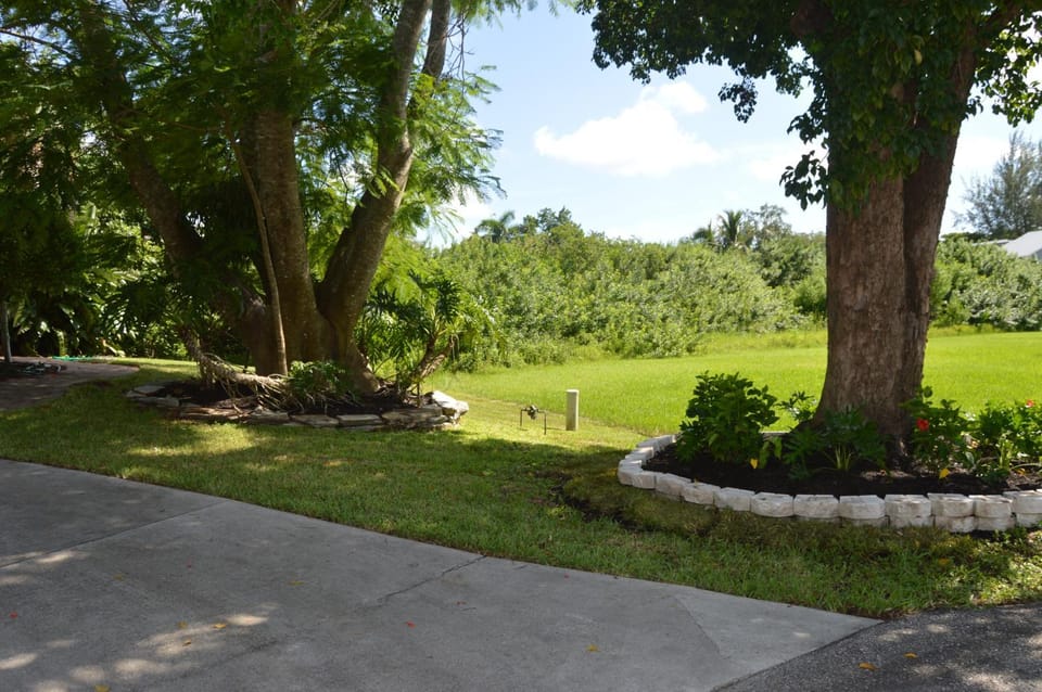Natural landscape, Garden, Garden, Garden view