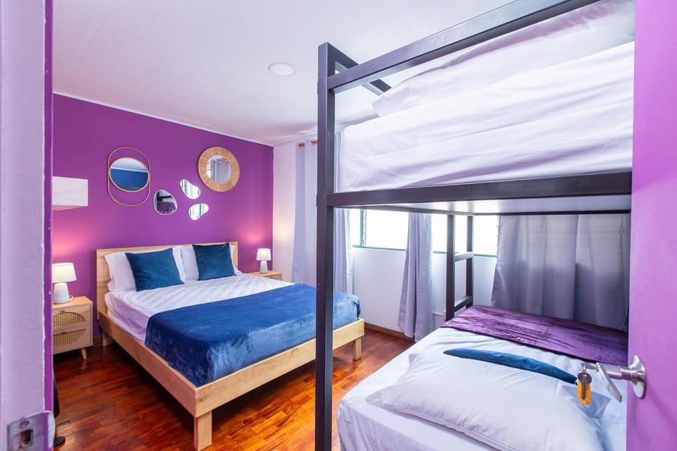 Bed, Photo of the whole room, Bedroom, bunk bed