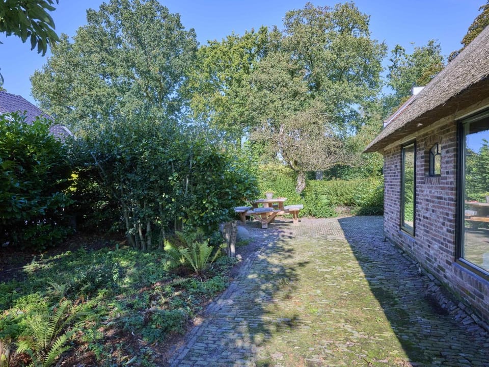 Summer, Garden