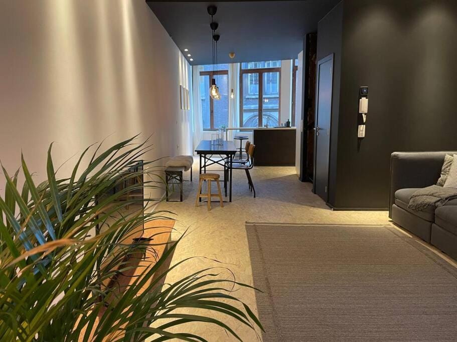 2 bedroom duplex in the historic heart of Liège Apartment in Liège