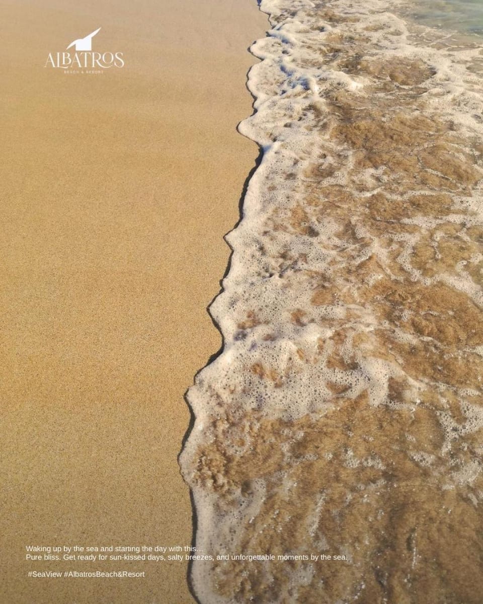 Albatros Beach & Resort Hotel in Tirana County, Albania