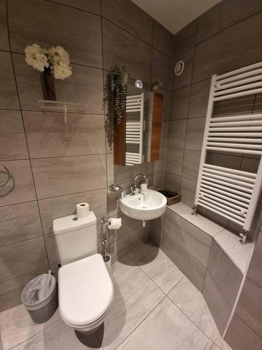 Shower, Toilet, Bathroom, towels
