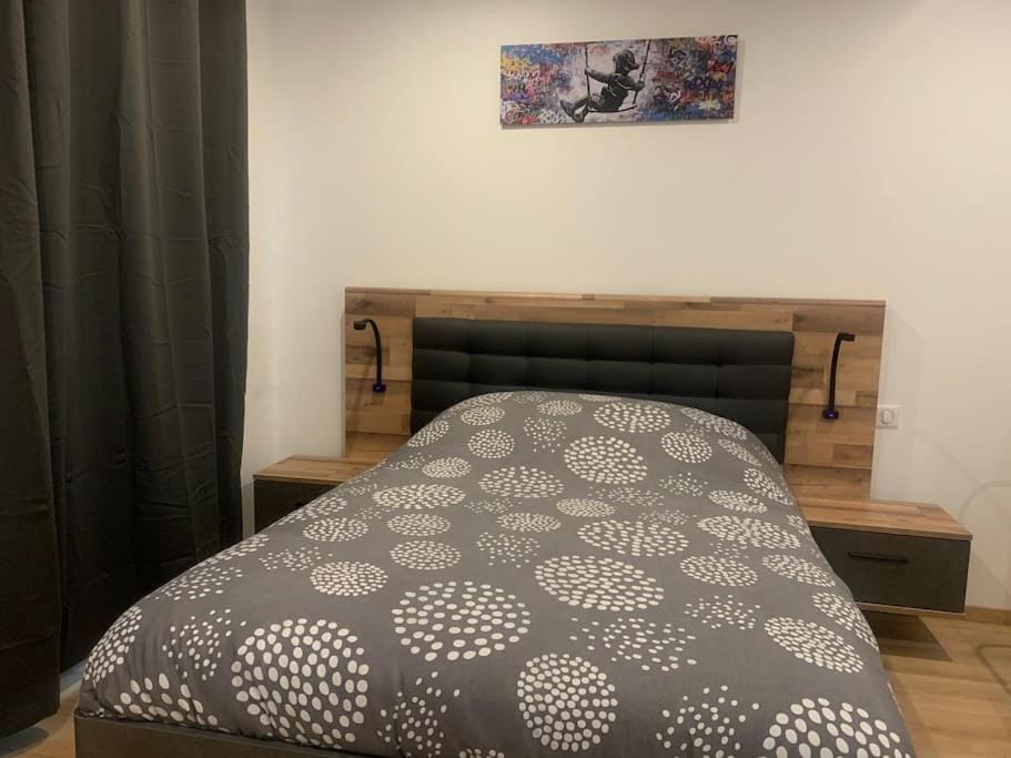 L Inimitable spacieux et lumineux avec 2 chambres Apartment in Grand Est