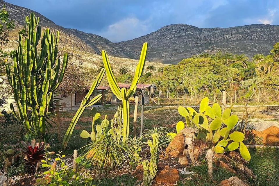 CASA canela de ema House in State of Minas Gerais, Brazil