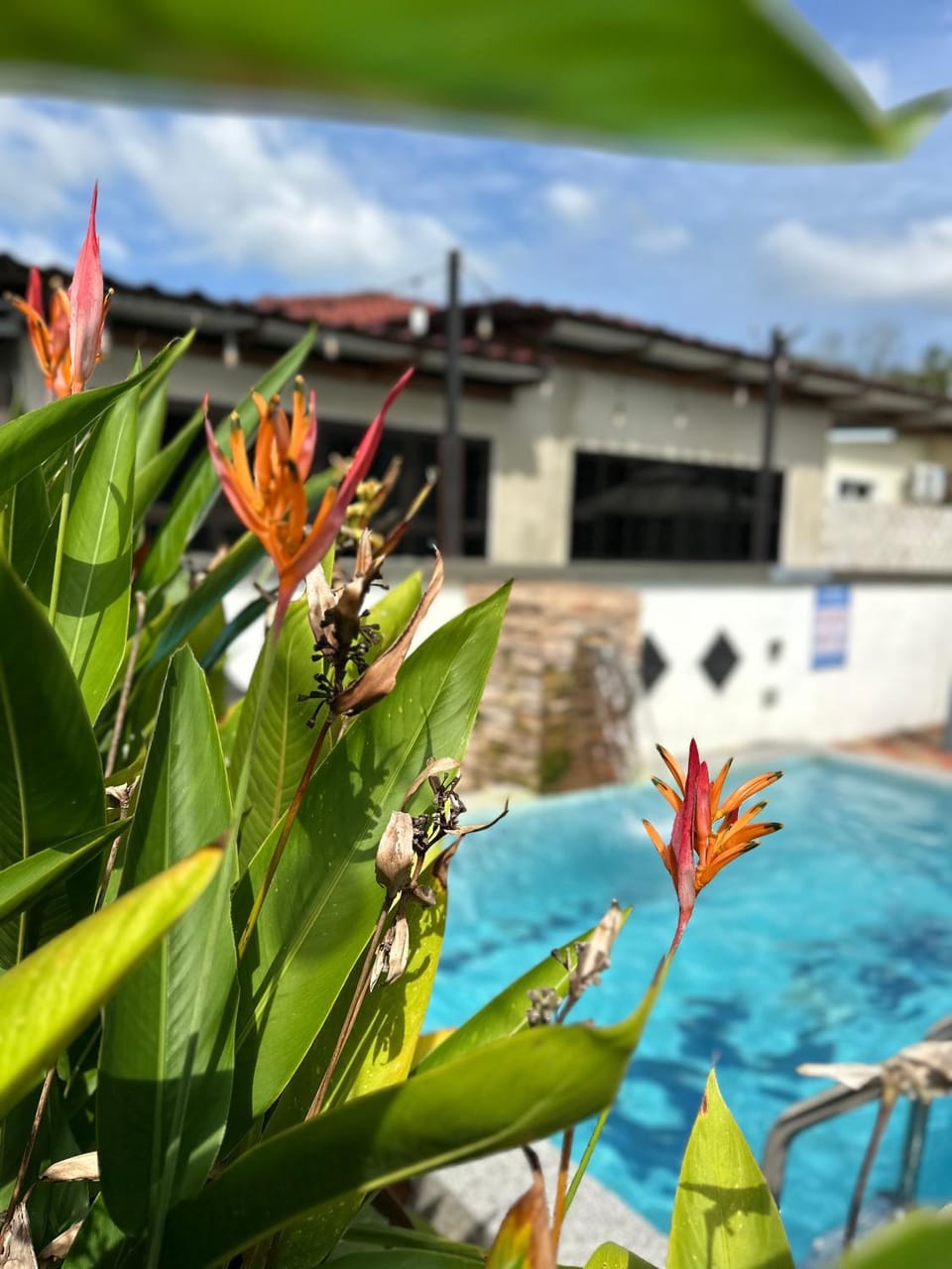 DeCherating privatepool House in Terengganu, Malaysia