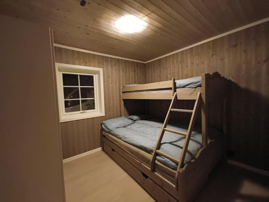 Bed, Bedroom, bunk bed