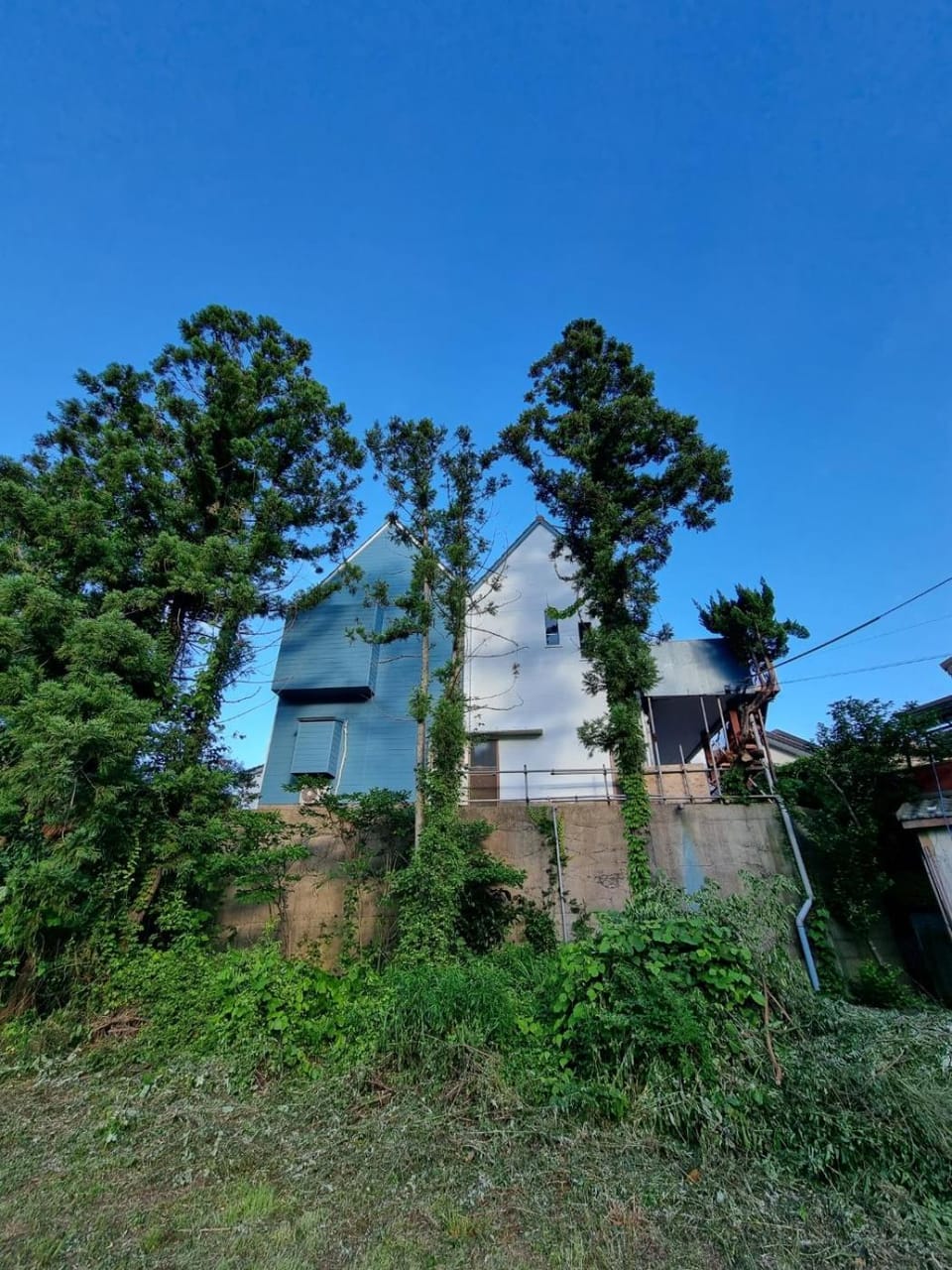 Property building, Shopping Area, group of guests, Family