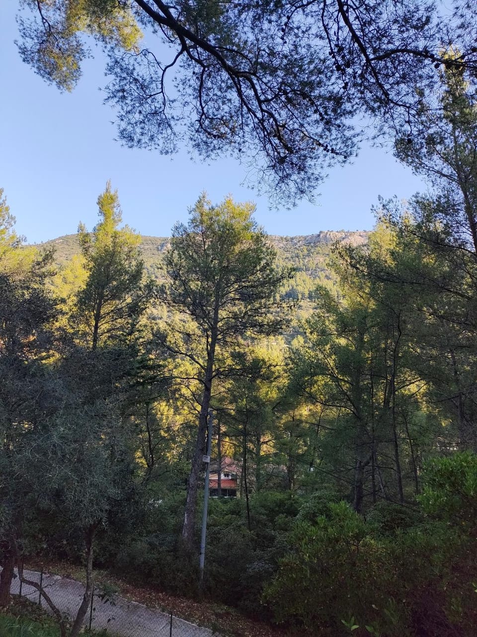 Mountain view