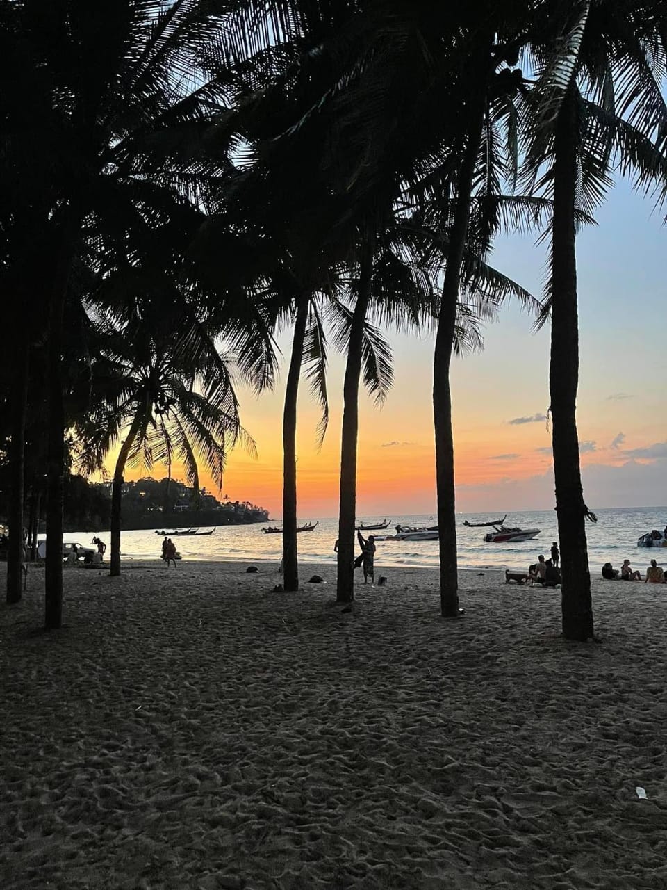 Natural landscape, Beach, Sunset