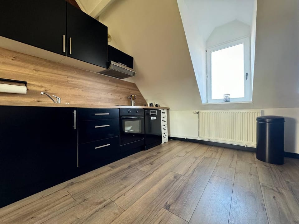 Kitchen or kitchenette, oven, stove