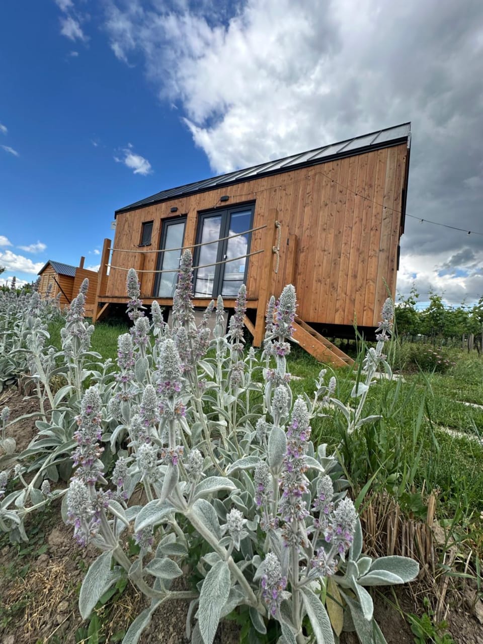 Tiny house Pálava Nature lodge in South Moravian Region