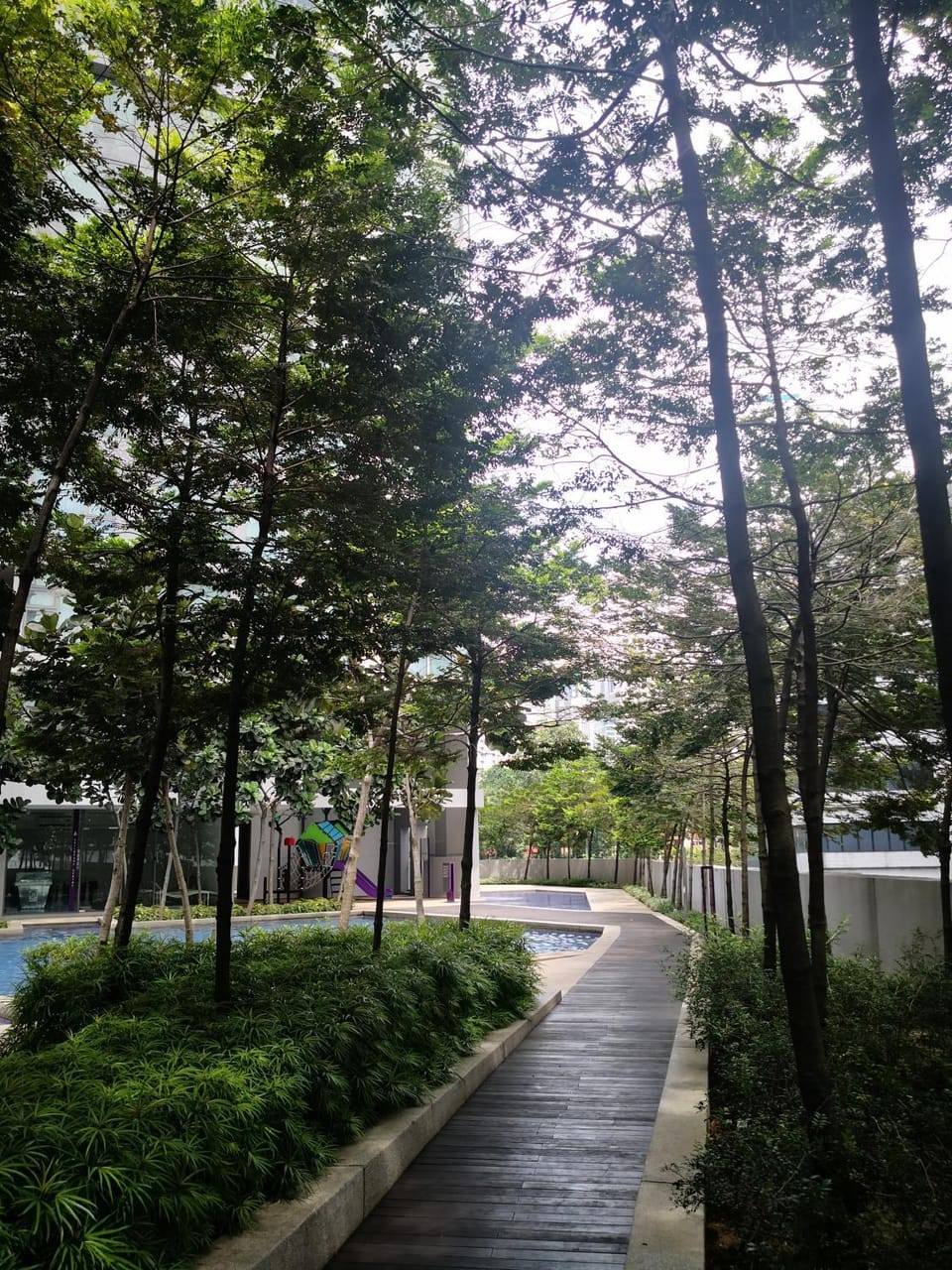 Garden view