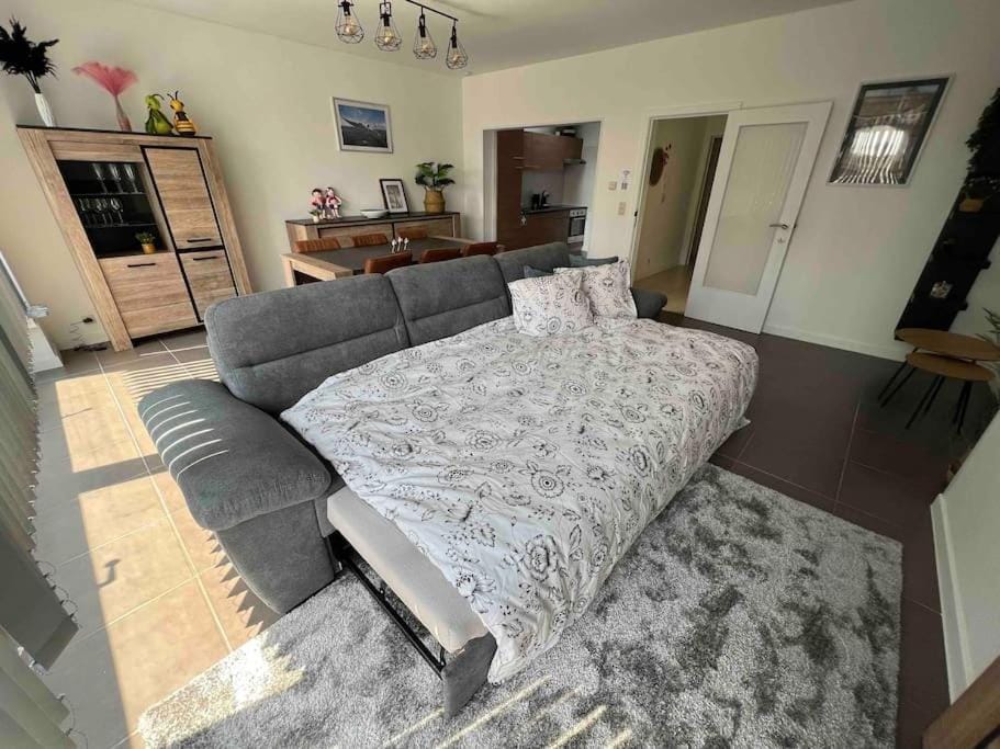 Bright, spacious apartment nearby beach Apartment in Ostend