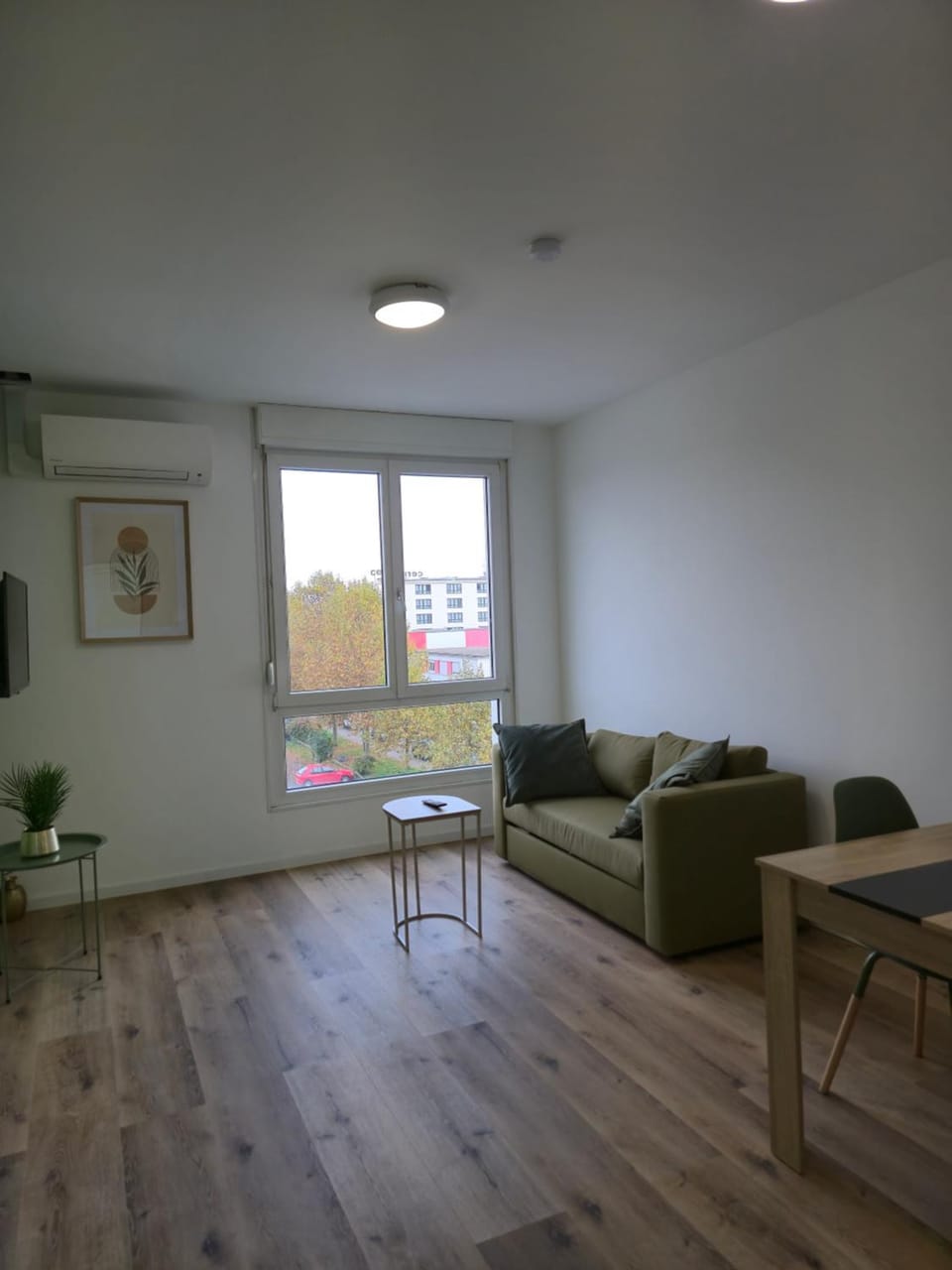 303 - Strasbourg appartement Green refait à neuf Apartment in Strasbourg