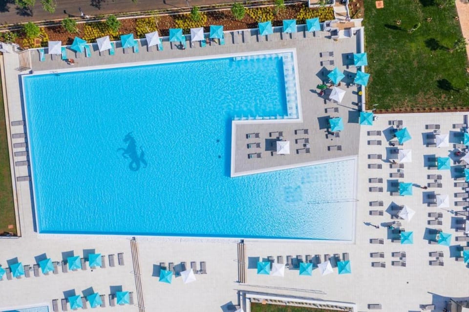 Day, Pool view, Swimming pool, Swimming pool