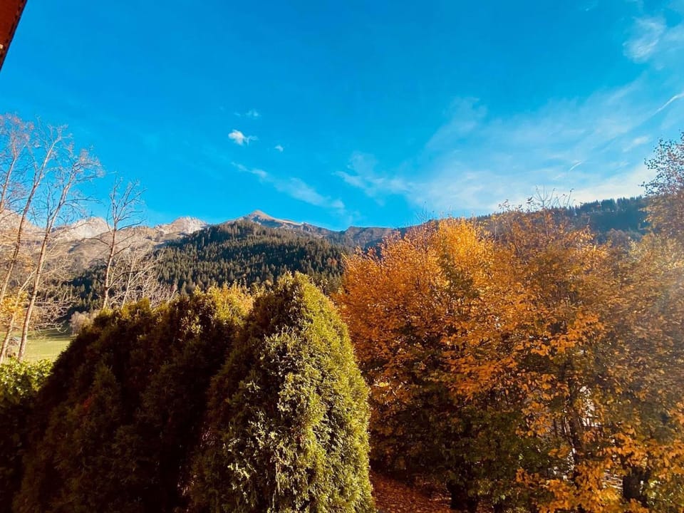 Appartement cosy près des pistes avec garage, WIFI, terrasse - La Clusaz - FR-1-459-234 Apartment in La Clusaz