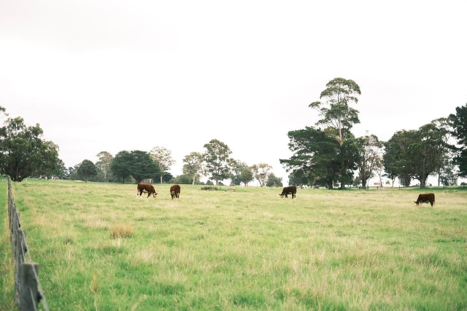 Longford Cottage House in Victoria