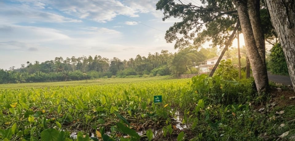 Natural landscape