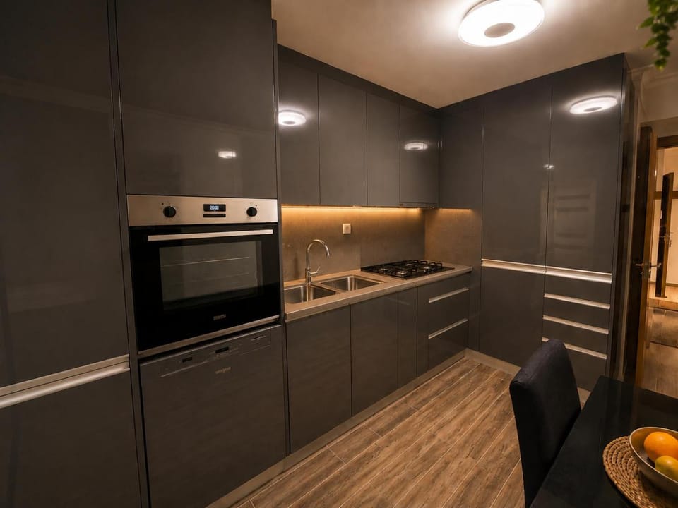 Kitchen or kitchenette, dishwasher, stove