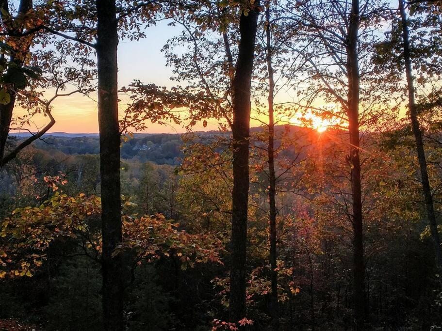 Tiny Home Big View House in Knoxville