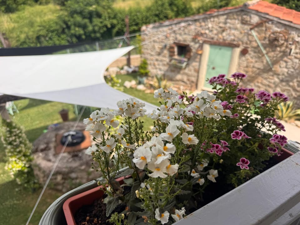 Cascina 1956 Bed and Breakfast in Lazio