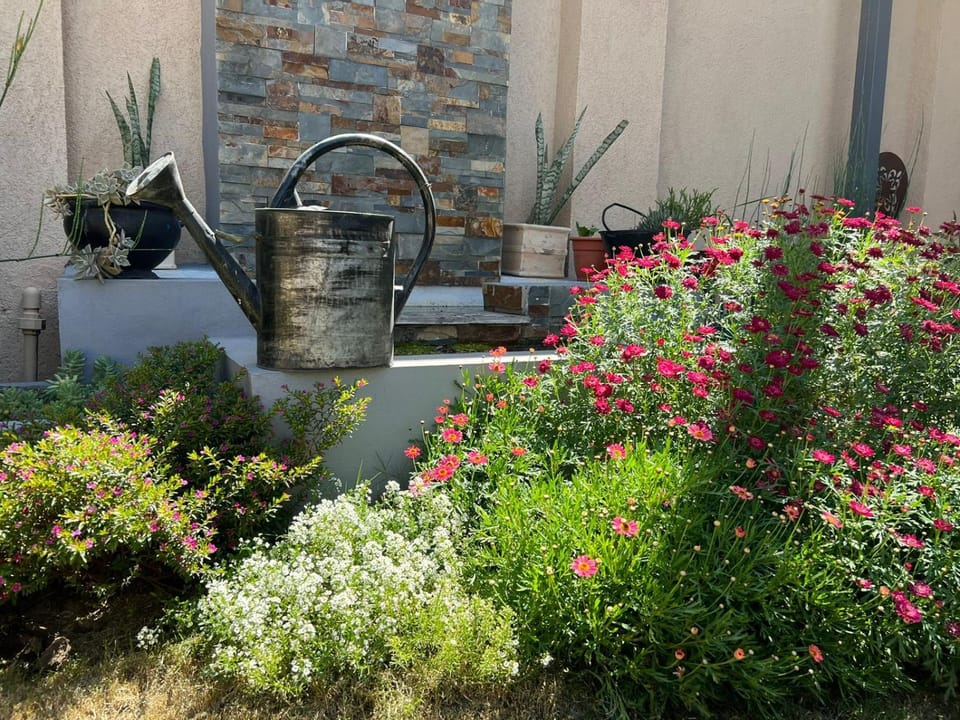 Garden, Garden